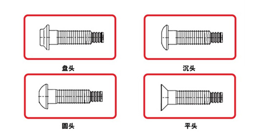 短尾鉚釘